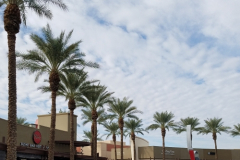TOT_phoenixrestaurantsforsalejpg_crop_1514915199