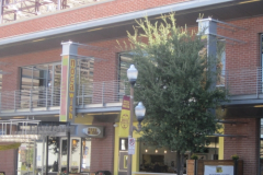 JQY_img8284jpg_crop_1447510312